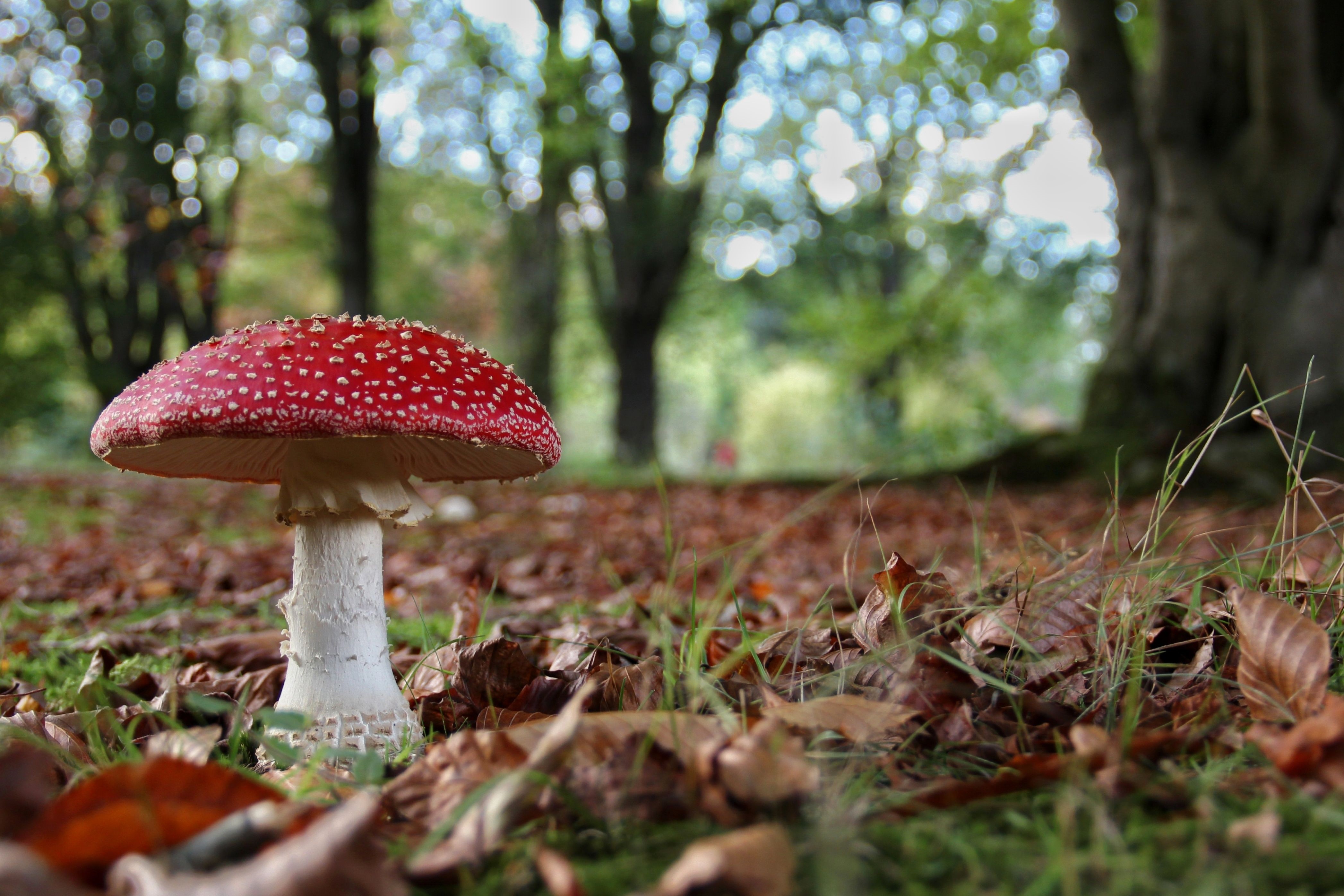 Goede Doelen Cadeaukaart Natuurmonumenten