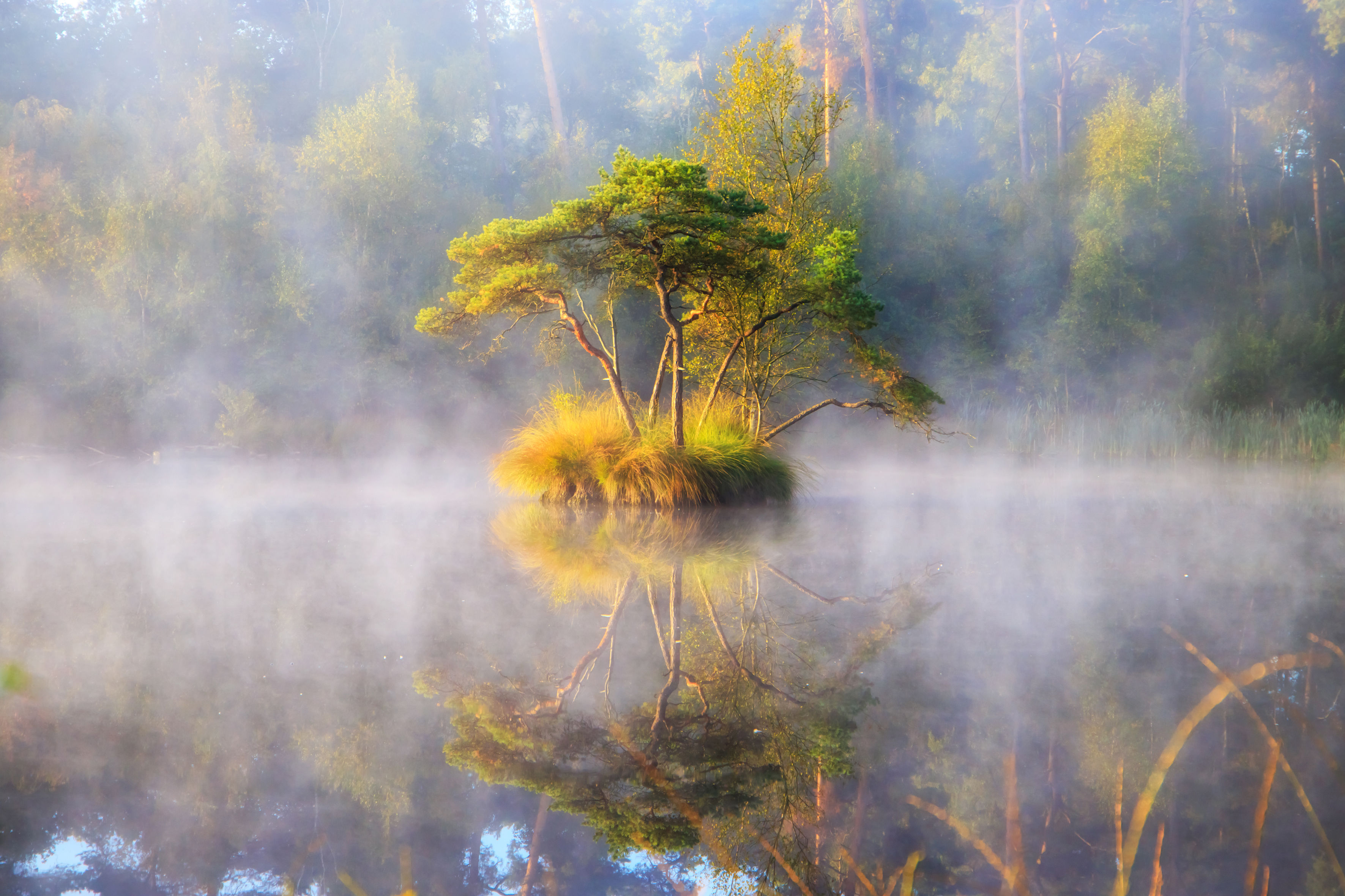 Goede Doelen Cadeaukaart Natuurmonumenten