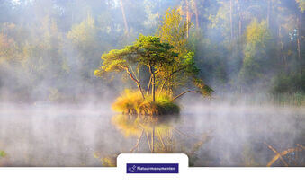 Goede Doelen Cadeaukaart Natuurmonumenten